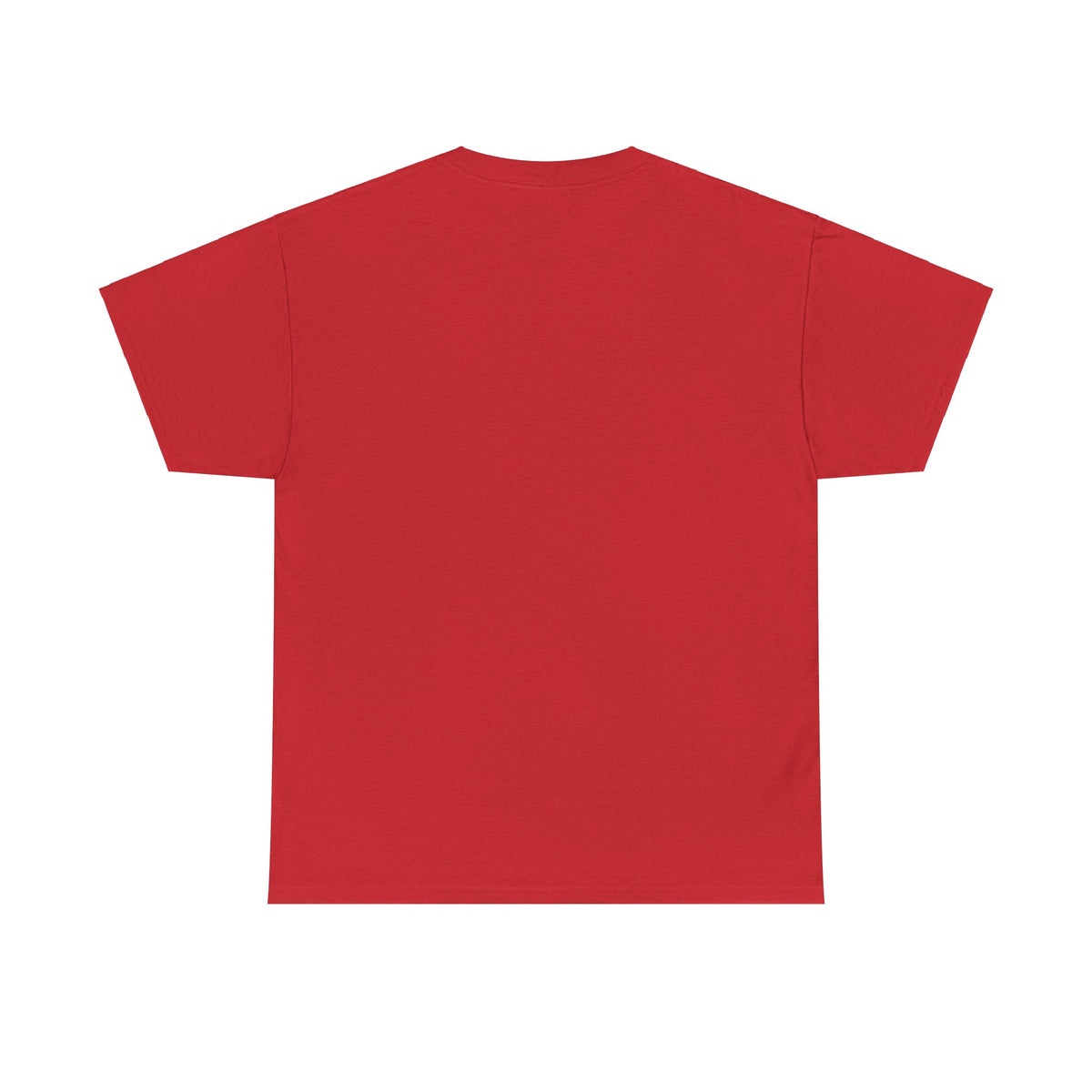 Gera Unisex Heavy Cotton Tee